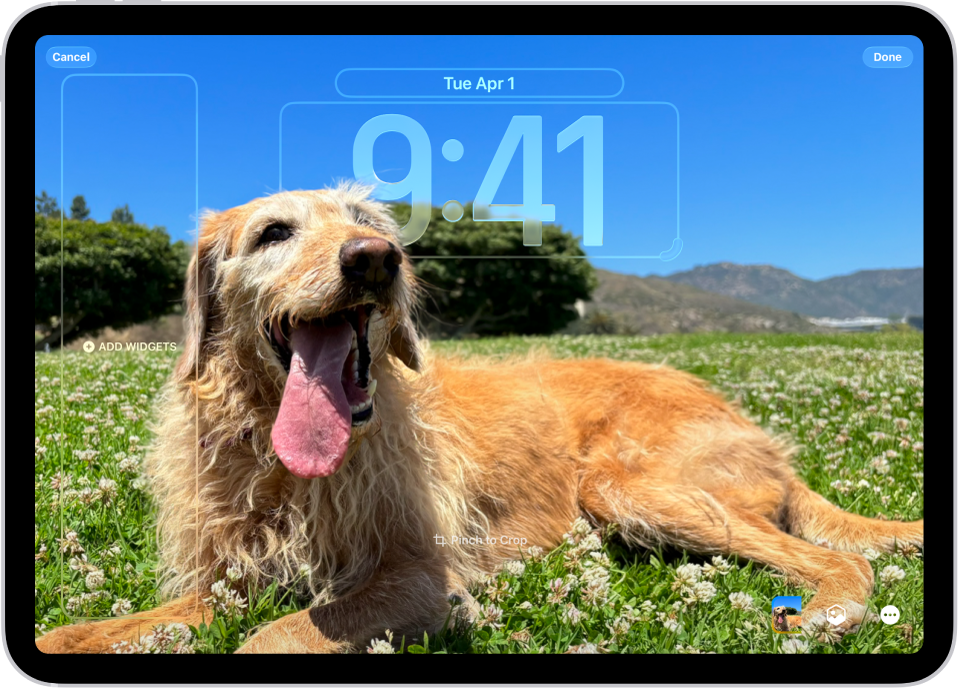 భూమి ఫోటోతో iPad లాక్ స్క్రీన్ కోసం కస్టమైజేషన్ ఎంపికలను చూపుతున్న స్క్రీన్. ఎడమ వైపున ఉన్నవి గడియారం, క్యాలెండర్, వాతావరణం విడ్జెట్లు. కుడి వైపున ఉన్నవి గడియారం ఫాంట్, రంగు ఎంపికలు.