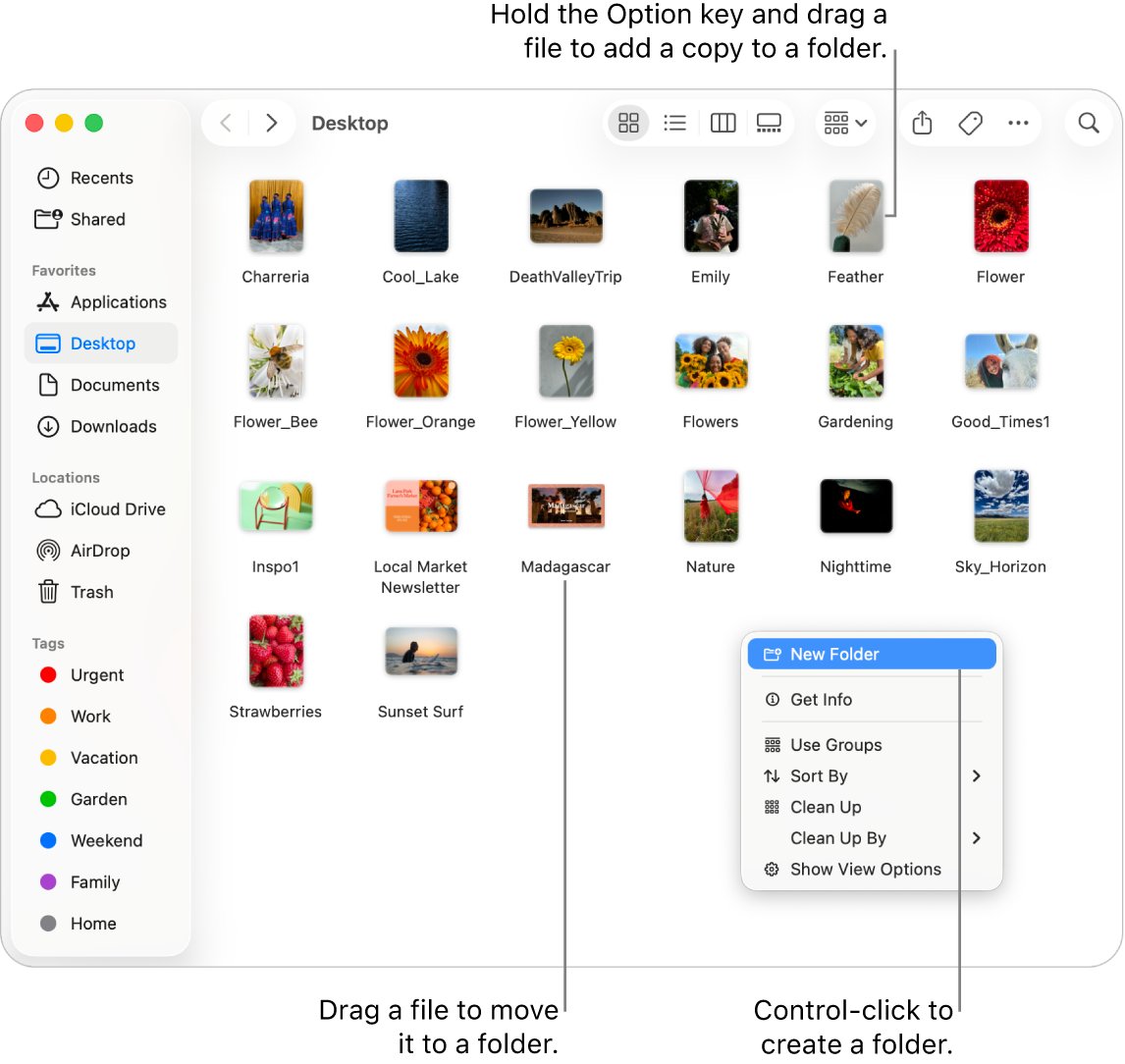 A Finder window containing files and folders. In the shortcut menu, New Folder is highlighted.