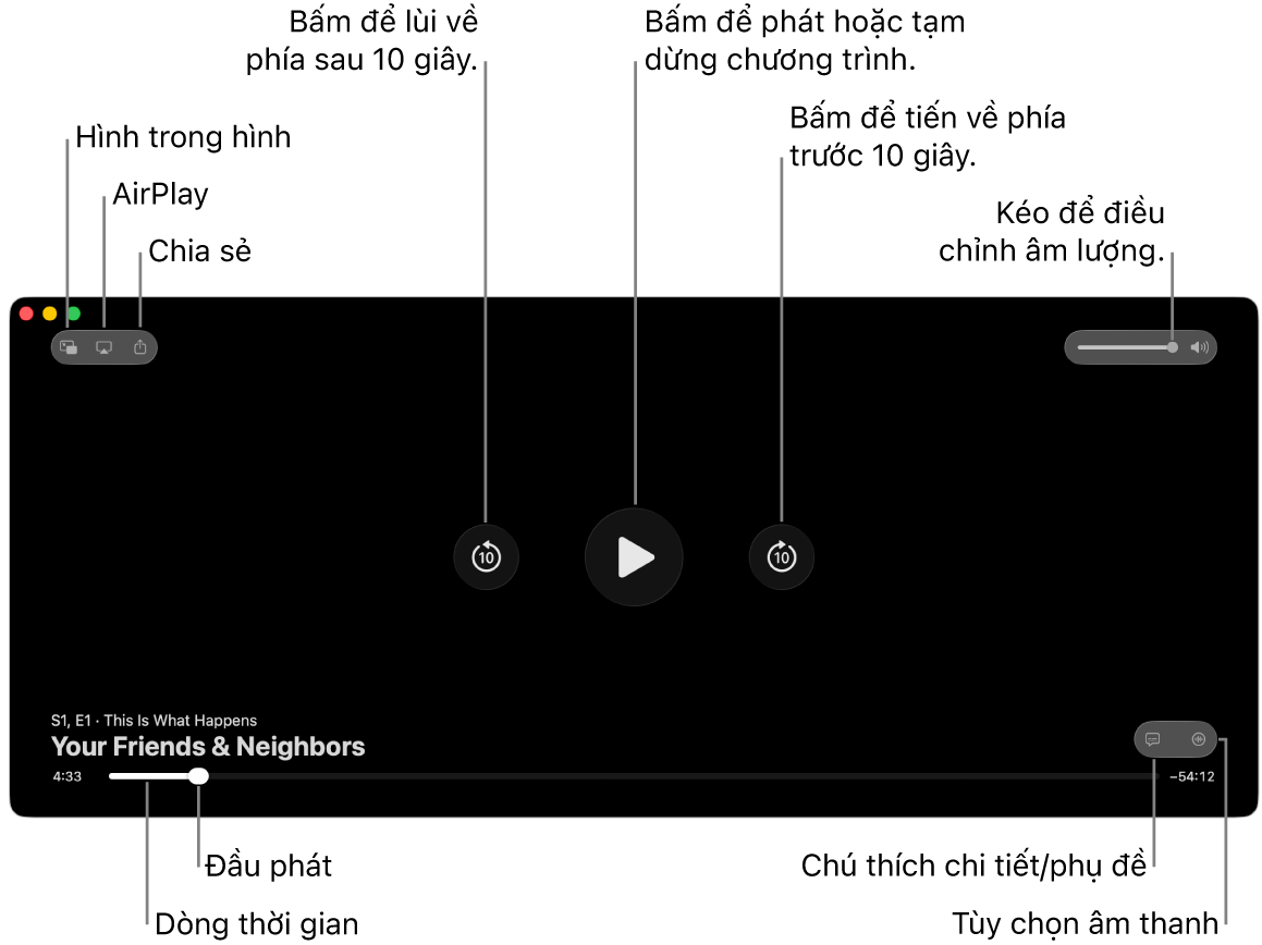 Các điều khiển phát lại trong trình xem, bao gồm các nút để phát hoặc tạm dừng, tiến về trước hoặc lùi về sau và điều chỉnh âm lượng.