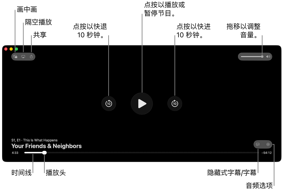 查看器中的播放控制包括用于播放或暂停、快进或快退和调整音量的按钮。