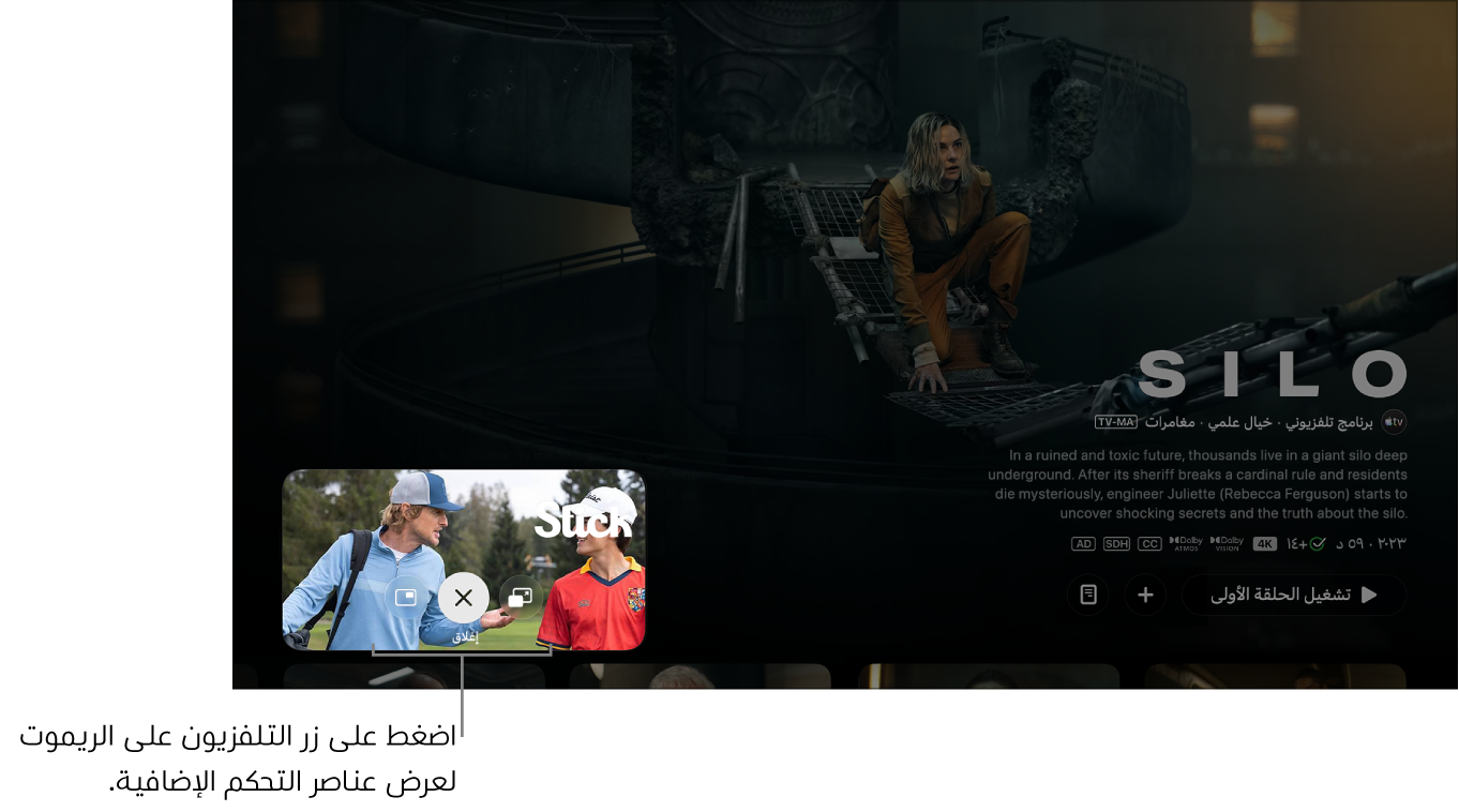 عناصر تحكم صورة داخل صورة إضافية