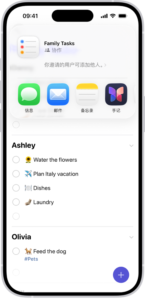 “提醒事项” App 显示日常采购清单,底部是用于共享的选项。