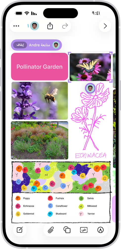 تطبيق المساحة الحرة مفتوح على iPhone. تتضمن اللوحة الكتابة اليدوية والنصوص والرسومات والأشكال والصور والفيديوهات والملاحظات اللاصقة والروابط والملفات الأخرى.