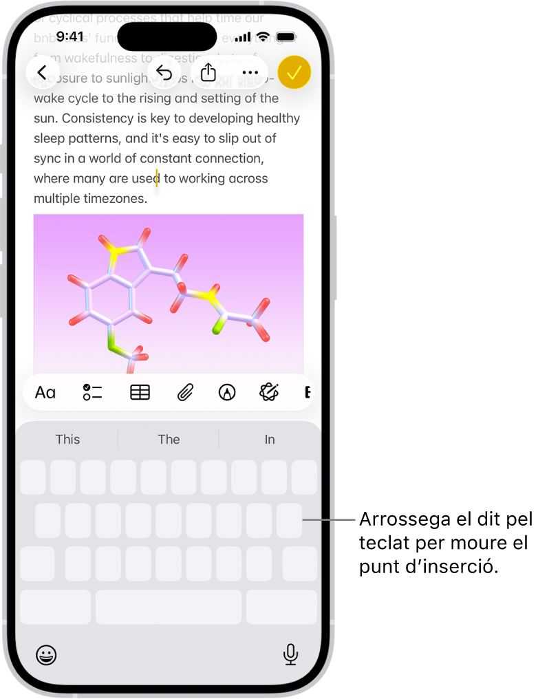 A l’app Notes hi ha un document obert. A la meitat inferior de la pantalla hi ha el teclat en mode de trackpad.