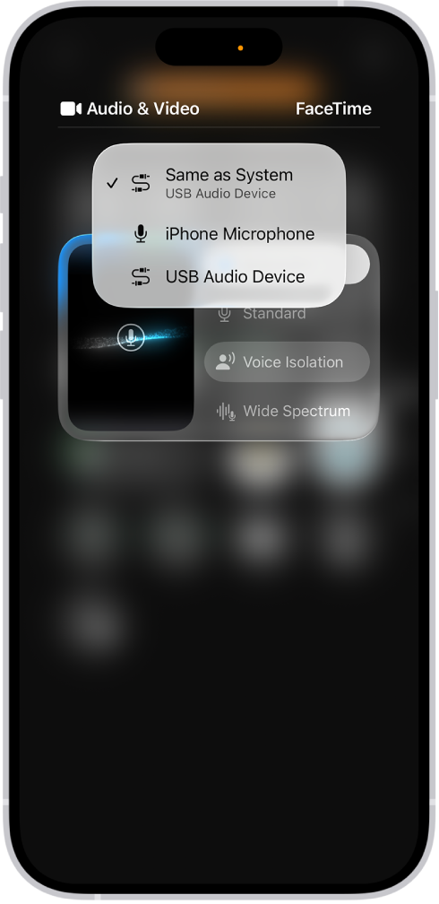 Ovládací prvky pro výběr vstupního zdroje zvuku v hovoru FaceTime