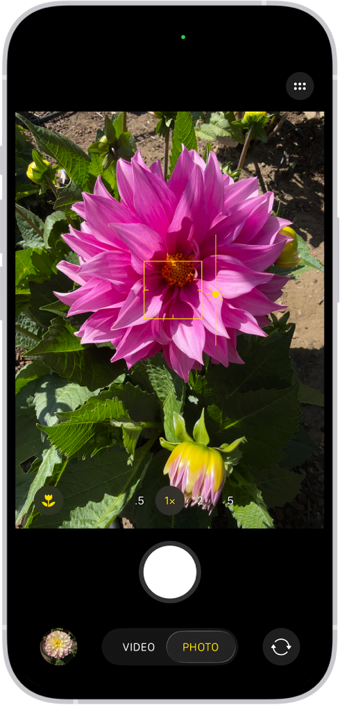 Appen Kamera er åben i funktionen Foto. I søgeren er fokus låst på et motiv, og et mærke til justering af niveauet for Lysstyrke er ved siden af motivet.