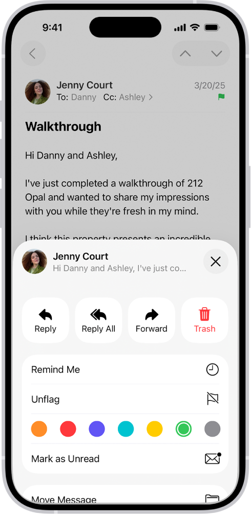 A message showing reply options in the bottom half of the screen, including the Unflag button and color choices for flags.