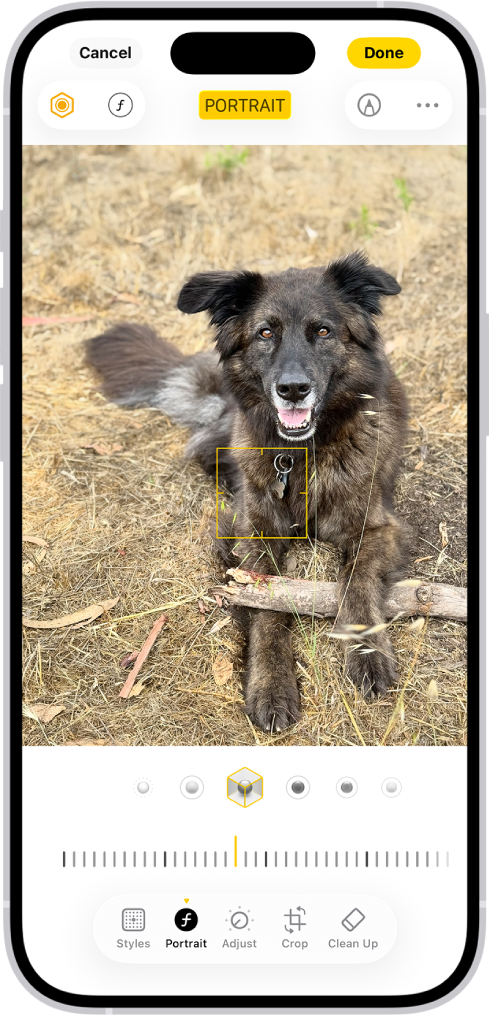 Rakenduse Photos kuva Edit, mille keskel on portree. Foto all on Portrait Lightingu valikud. Valitud on Studio Light. Selle all on liugur efekti taseme reguleerimiseks. Ekraani allservas asuvad (vasakult paremale) nupud Portrait, Adjust, Filters ja Crop. Valitud on nupp Portrait.