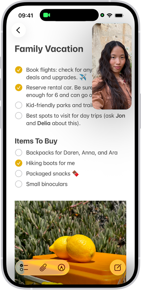 Отображается текущий разговор FaceTime. Всю остальную область экрана заполняет заметка по оформлению кухни.