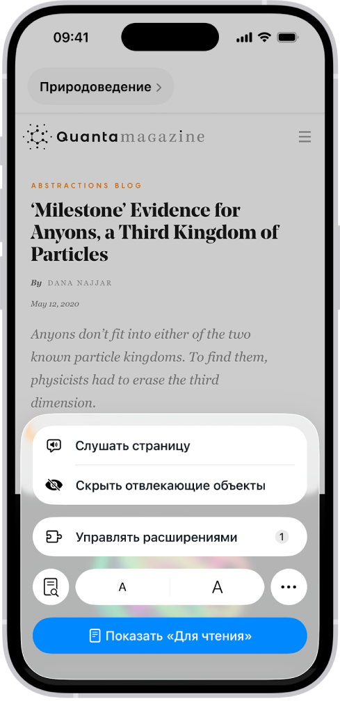 В Safari на сайте выбрана кнопка «Меню страницы»; отображаются доступные параметры, включая «Скрыть отвлекающие объекты».