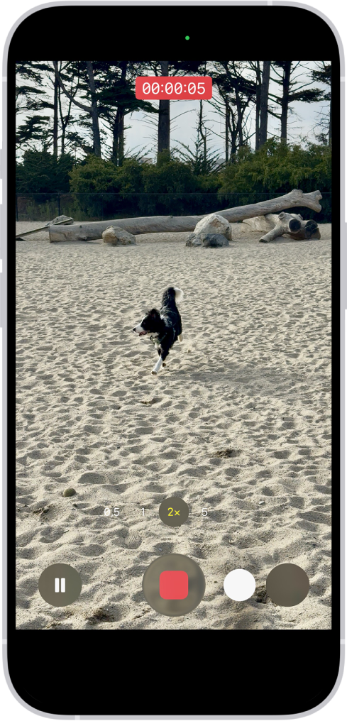 Kamera çerçevesi ekranı dolduruyor. Ekranın en altında Deklanşör düğmesi sağa doğru hareket ederek eller serbest kayıt hareketini gösteriyor.