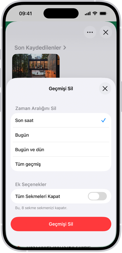 Safari uygulamasında Geçmişi Sil menüsü. Zaman Aralığını Sil’in altında “Son saat” seçili. Geçmişi Sil düğmesi ekranın en altında.