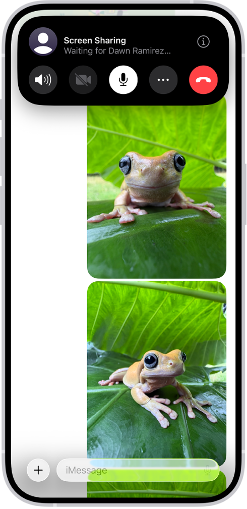 پیغام ایپ میں اسکرین شیئر کرنے کی زیر التوا درخواست۔