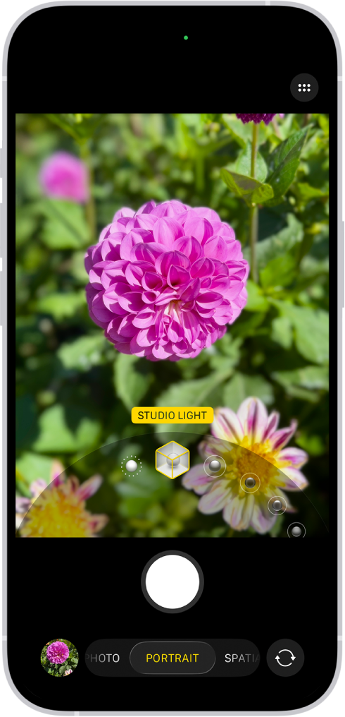 人像模式的相机屏幕;在取景器中,拍摄主体十分清晰,背景模糊化。取景框的底部打开了选择人像光效的转盘,选中了“摄影室灯光”。