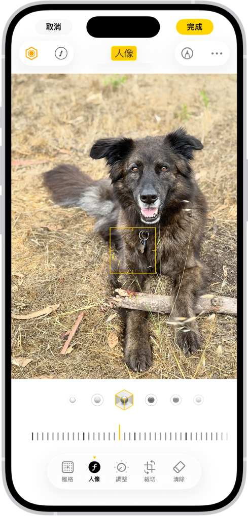 「照片」App 中的「編輯」畫面中央顯示一張人像照。照片下方為「人像燈光」選項。已選取「攝影棚燈光」。其下方滑桿用來調整效果強度。螢幕底部由左至右分別為「人像」、「調整」、「濾鏡」和「裁切」按鈕。已選取「人像」按鈕。