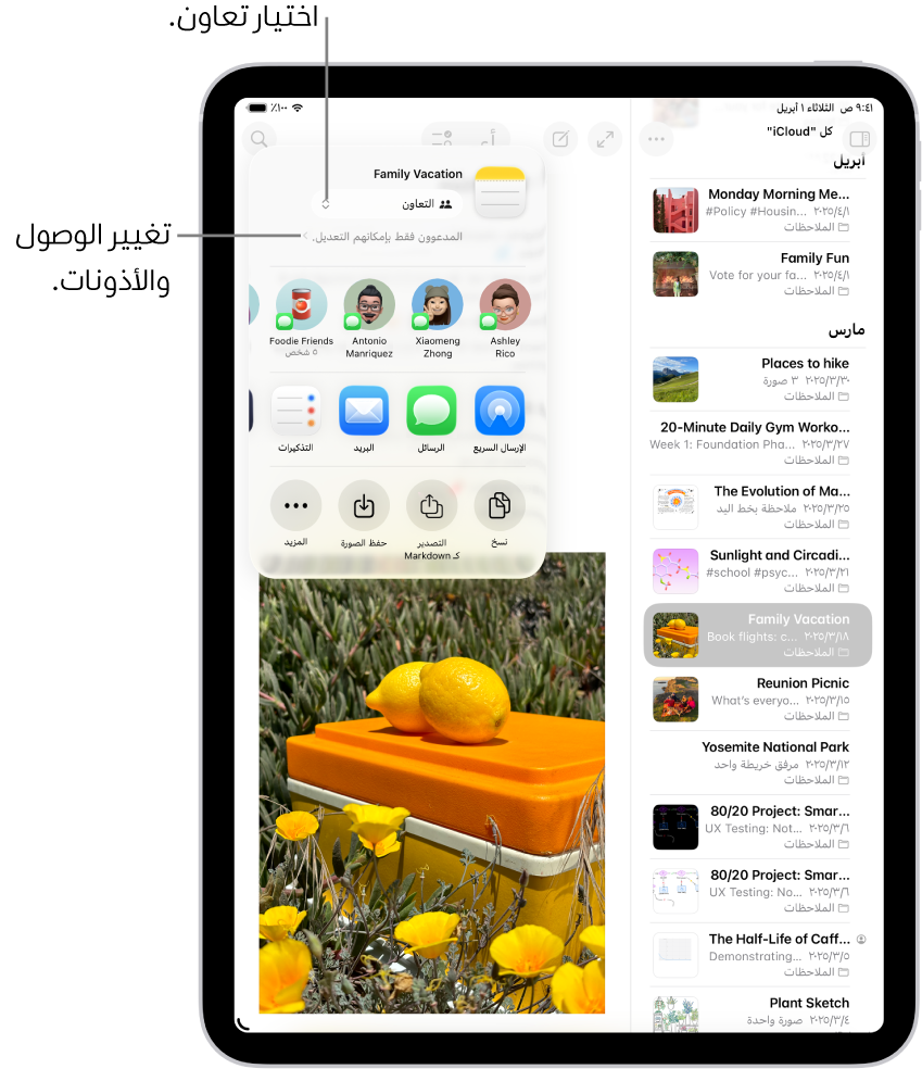 دعوة تعاون لقائمة اختيار في الملاحظات، تعرض التعاون لخيار المشاركة والخيار "الأشخاص الذين تدعوهم فقط هم الذين يمكنهم التعديل" كإعداد للوصول والأذونات. يوجد أربعة مستلمين محتملين، بما في ذلك مجموعة، يشكلون صفًا أسفل ذلك. يوفر الصف التالي طرقًا مختلفة لمشاركة الملاحظة: AirDrop والرسائل والبريد والتذكيرات. يحتوي الصف الأخير على أزرار لنسخ الملاحظة وتصديرها وحفظها.