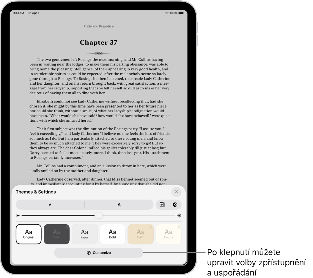 Stránka knihy v aplikaci Knihy. Volby motivů a nastavení s ovládacími prvky pro velikost písma, posouvací zobrazení, styl přechodu mezi stránkami, jas a styly písma