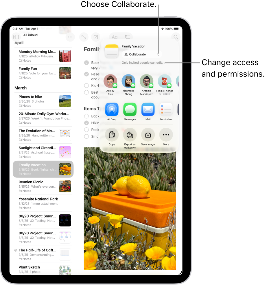 A collaboration invitation to a checklist in Notes, showing Collaborate for the share option and “Only people you invite can edit” as the access and permission setting. Four possible recipients, including a group, form a row below that. The next row offers different ways to share the note: AirDrop, Messages, Mail, and Reminders. The last row contains buttons to copy, export, and save the note.