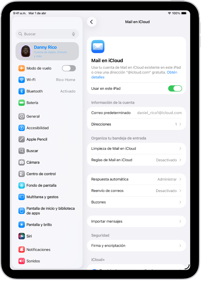 La app Configuración está abierta en la sección Mail en iCloud. En la parte inferior del menú está la opción Dominio de correo personalizado.