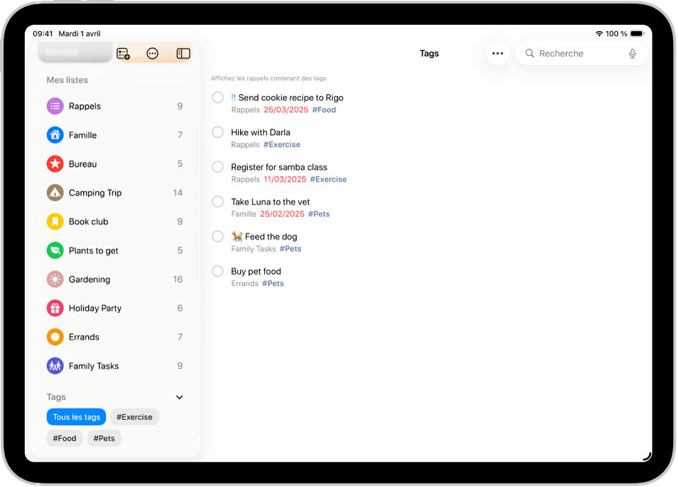 Un écran Rappels affichant le navigateur de tags en bas à gauche avec Tous les tags sélectionné. Sur la droite figure une liste de tous les éléments avec des tags.