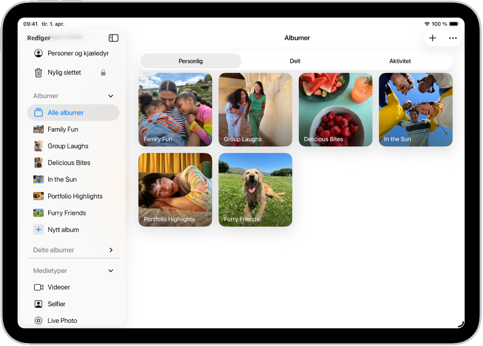 Bilder-appen er åpen på Albumer. Personlig er markert. Resten av iPad-skjermen viser miniatyrbilder for albumer i et rutenett.