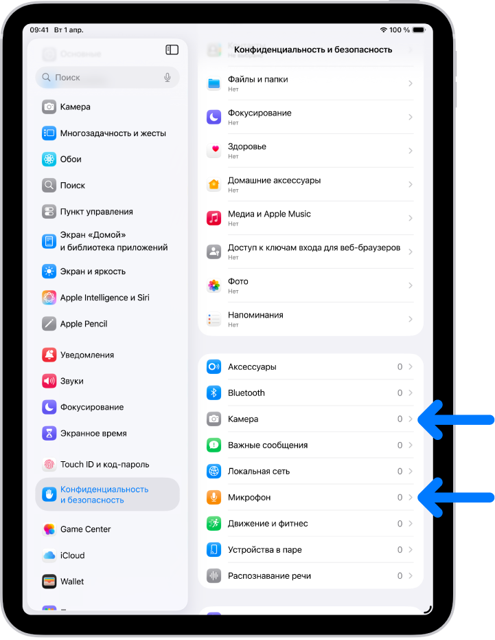 На экране «Конфиденциальность и безопасность» показаны настройки предоставления приложениям доступа к камере, микрофону и другим компонентам iPad.