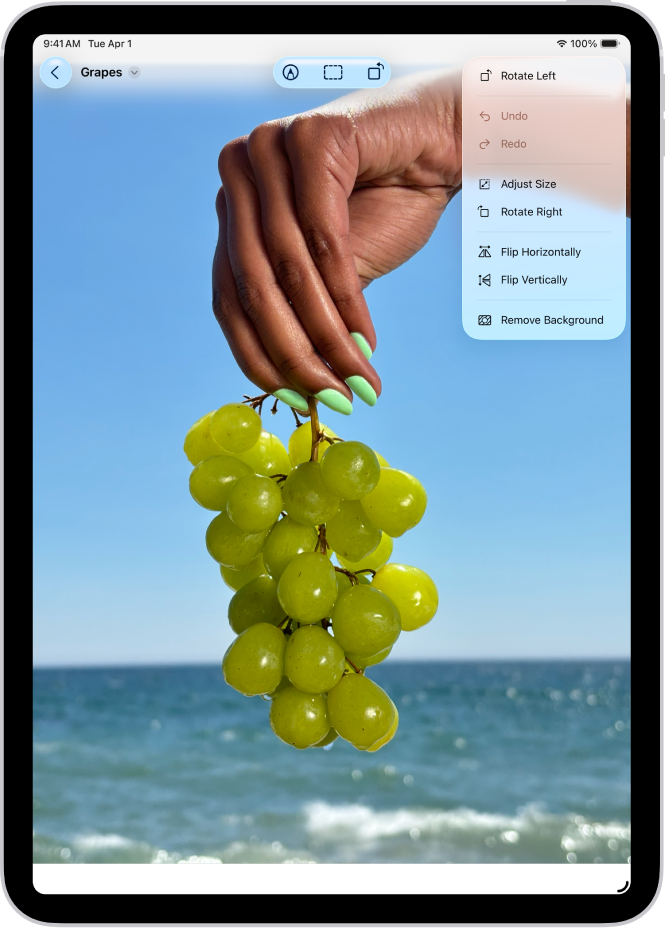 Okno aplikacije Predogled, ki prikazuje fotografijo z roko, ki drži grozdje v ospredju. Ozadje fotografije prikazuje nebo in ocean.