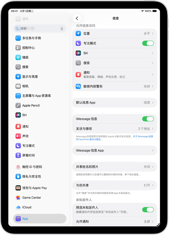 “信息”设置面板中的“iMessage 信息”已打开。