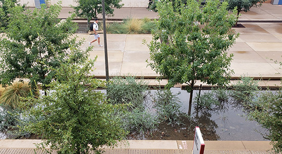 Landscape Architecture