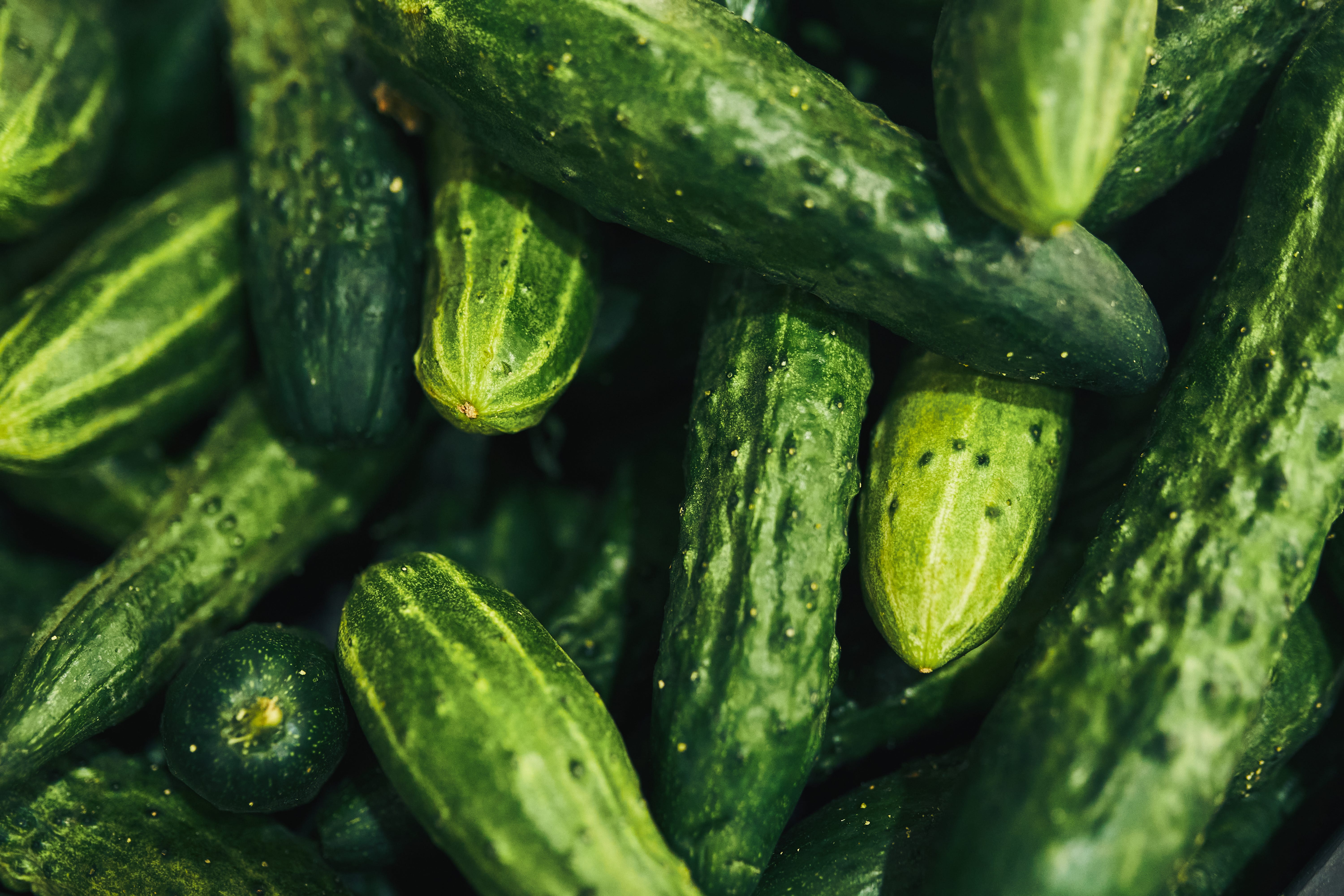 background of green cucumbers, close up.