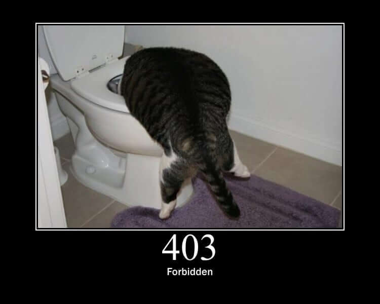 HTTP Status Cat 403