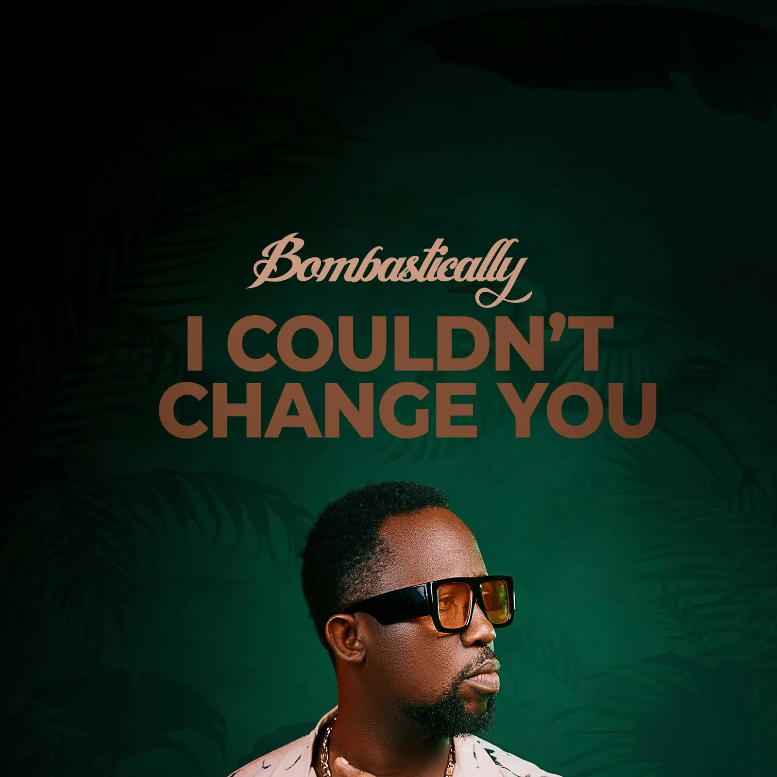 I COULDN'T CHANGE YOU