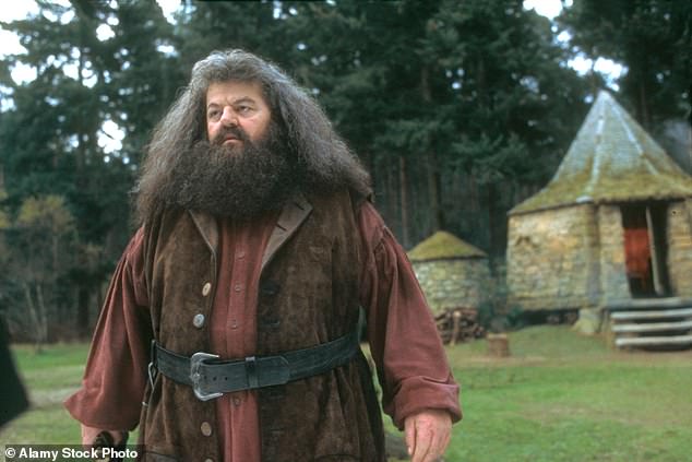 He is set to play the role that was made famous by veteran actor Robbie Coltrane in the original film series, before his death in 2022