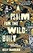 A Psalm for the Wild-Built by Becky Chambers A Psalm for the Wild-Built by Becky Chambers
