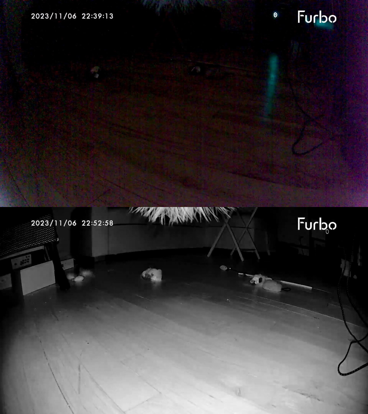 Furbo 360 Cat Camera night vision