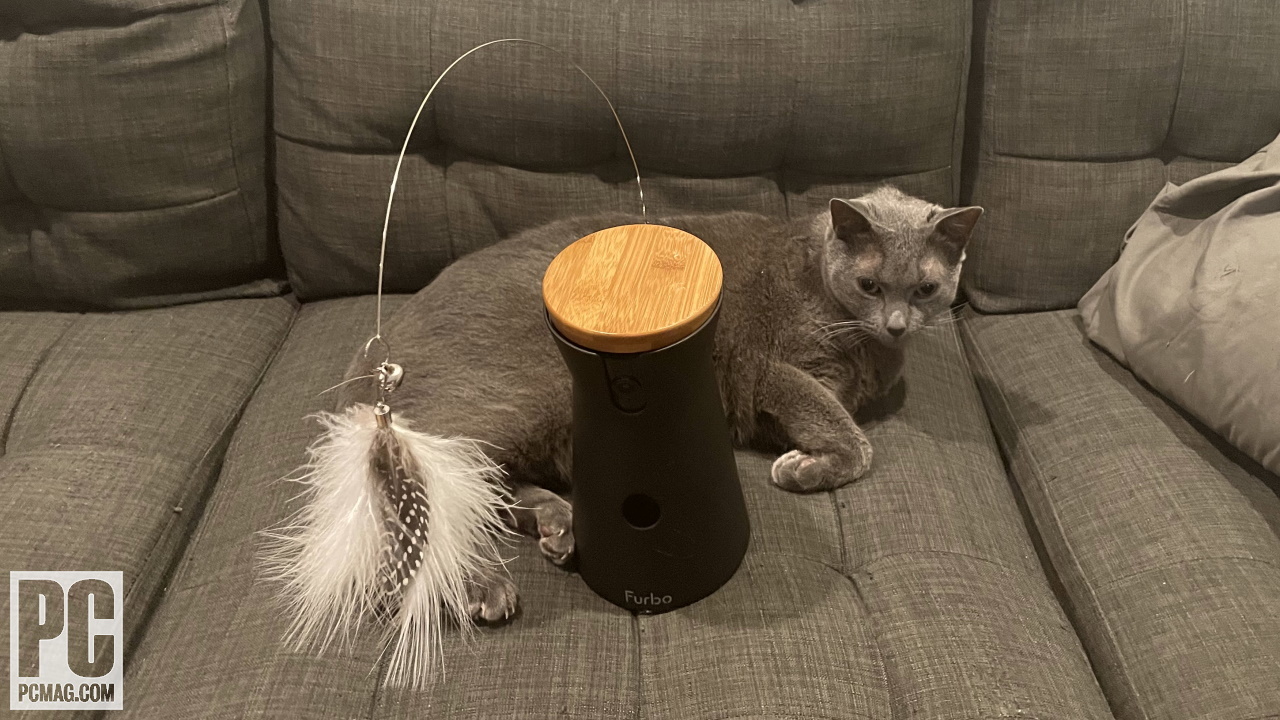 Furbo 360 Cat Camera