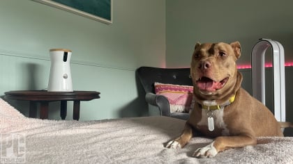 Furbo 360 Dog Camera Image