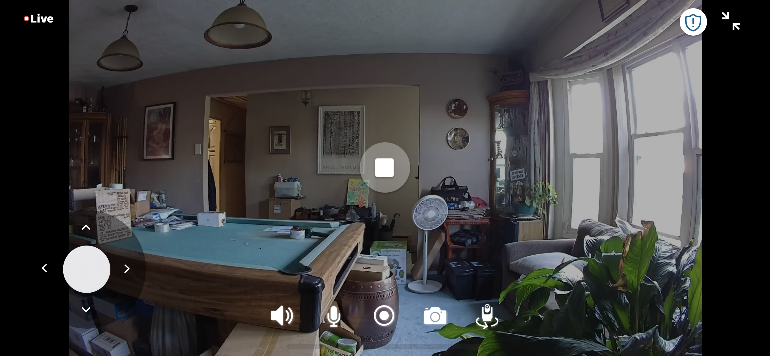 Arlo Essential Pan Tilt Indoor live view