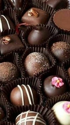 there are many chocolates in the box together