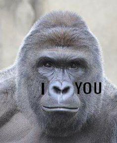 a gorilla with the words i you on it's face in front of him