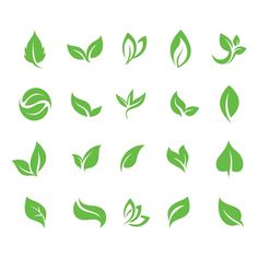 green leaves on white background, set of different shapes and sizes for logos or emblems
