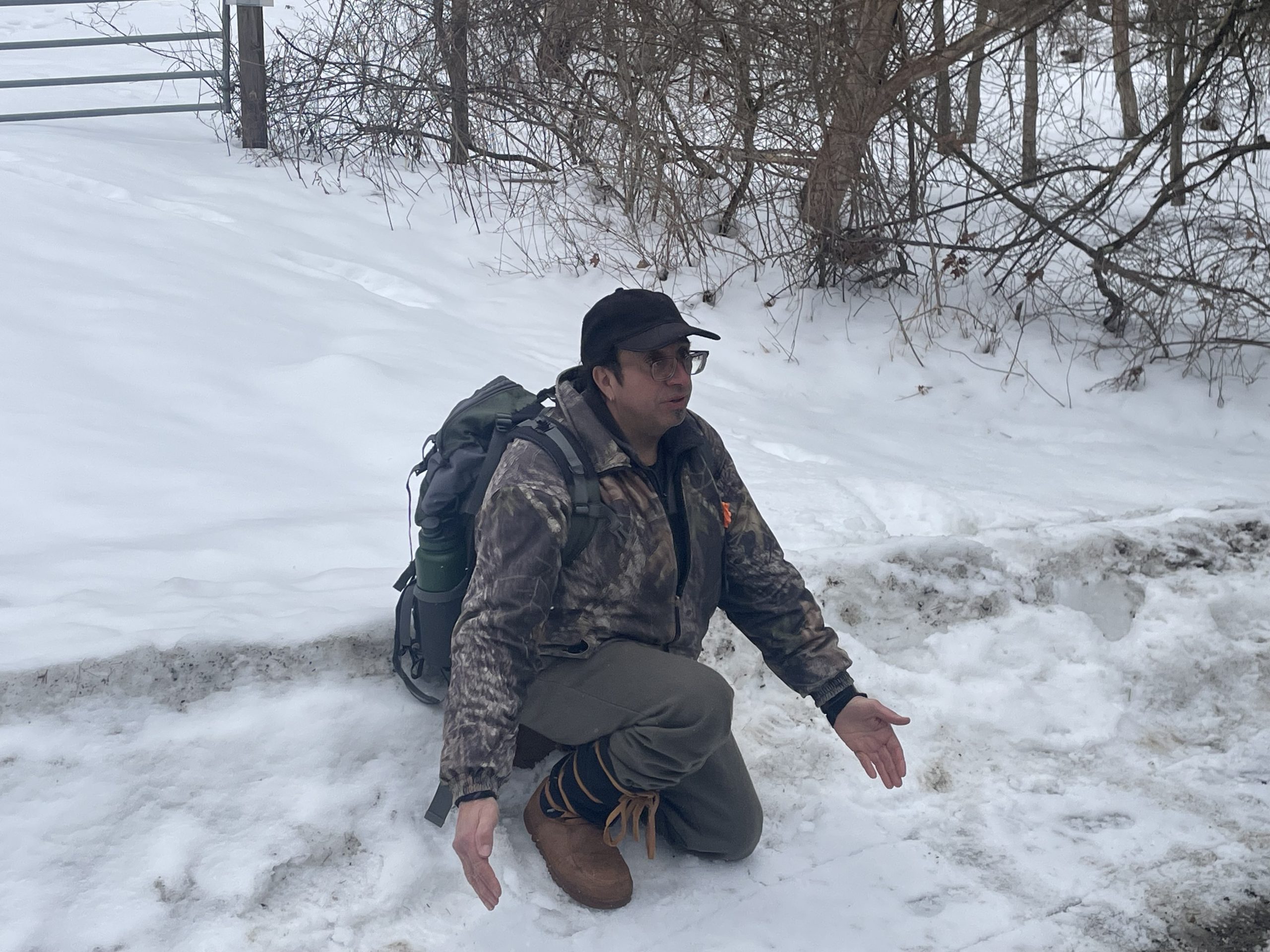  Reading the Stories of the Forest