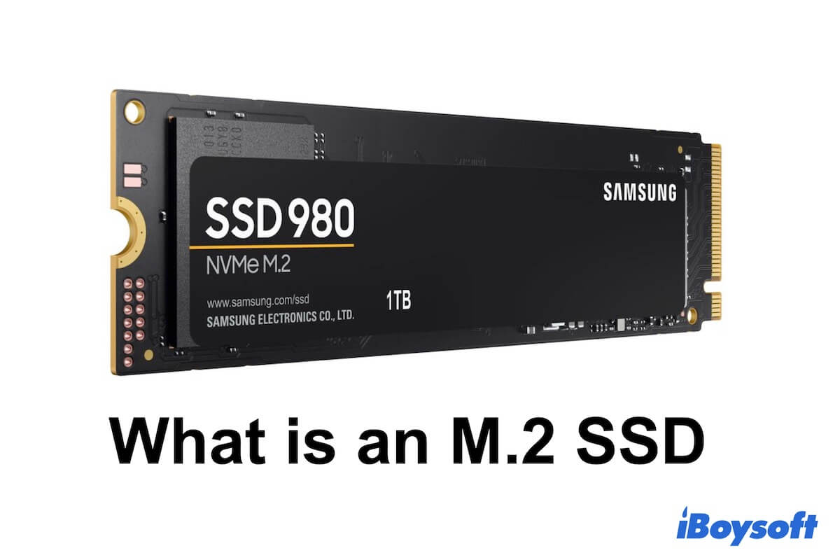 M2 SSD