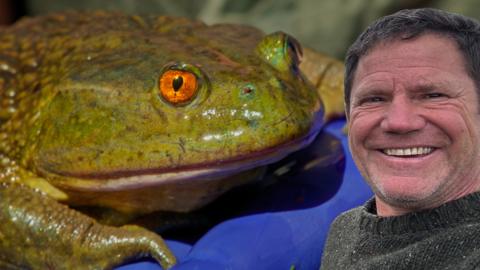 Steve is next to a green frog
