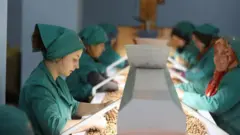 Fabrikada fındık ayıklayan işçiler
