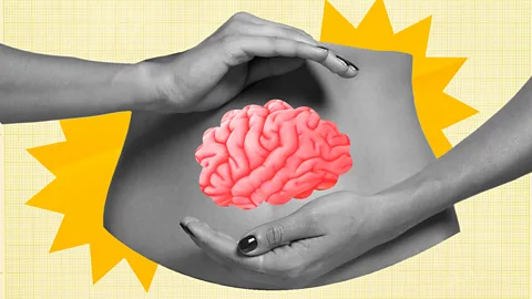 How gut bacteria control your brain