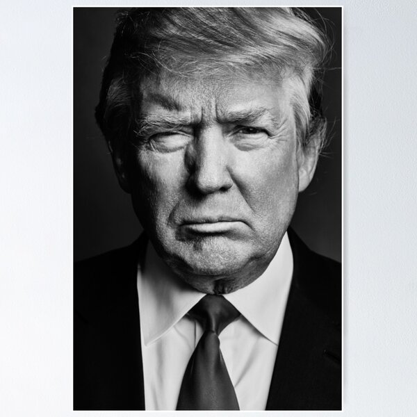 Artikelvorschau, Donald Trump entworfen und verkauft von yjneyt.