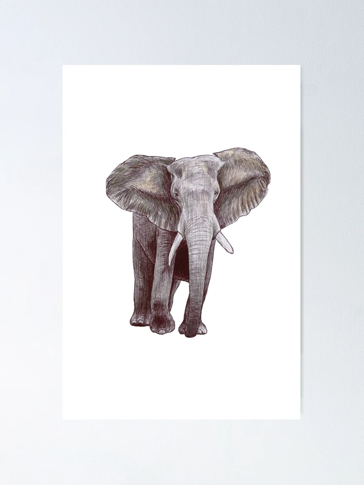 Thumbnail 1 of 3, Poster, Elephant Scribble designed and sold by ArtyOrca.