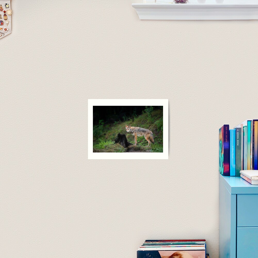 Item preview, Art Print designed and sold by Daniel Parent.