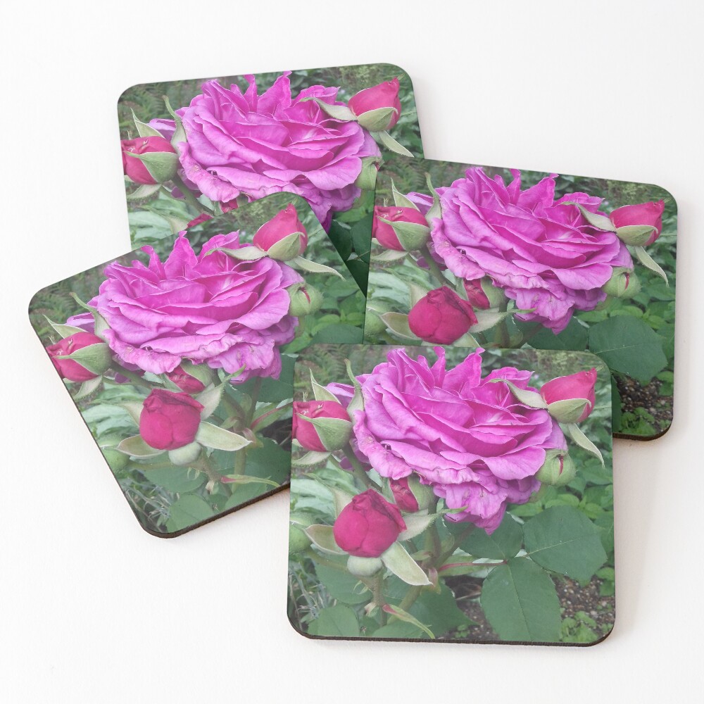 Item preview, Coasters (Set of 4) designed and sold by esvb.